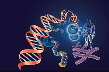 microRNA數據庫及研究軟件